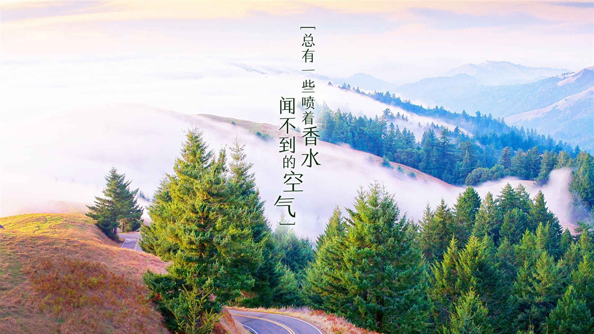 DOTA2赛事解说风格：分析不同解说的特点与风格，dota2比赛解说员