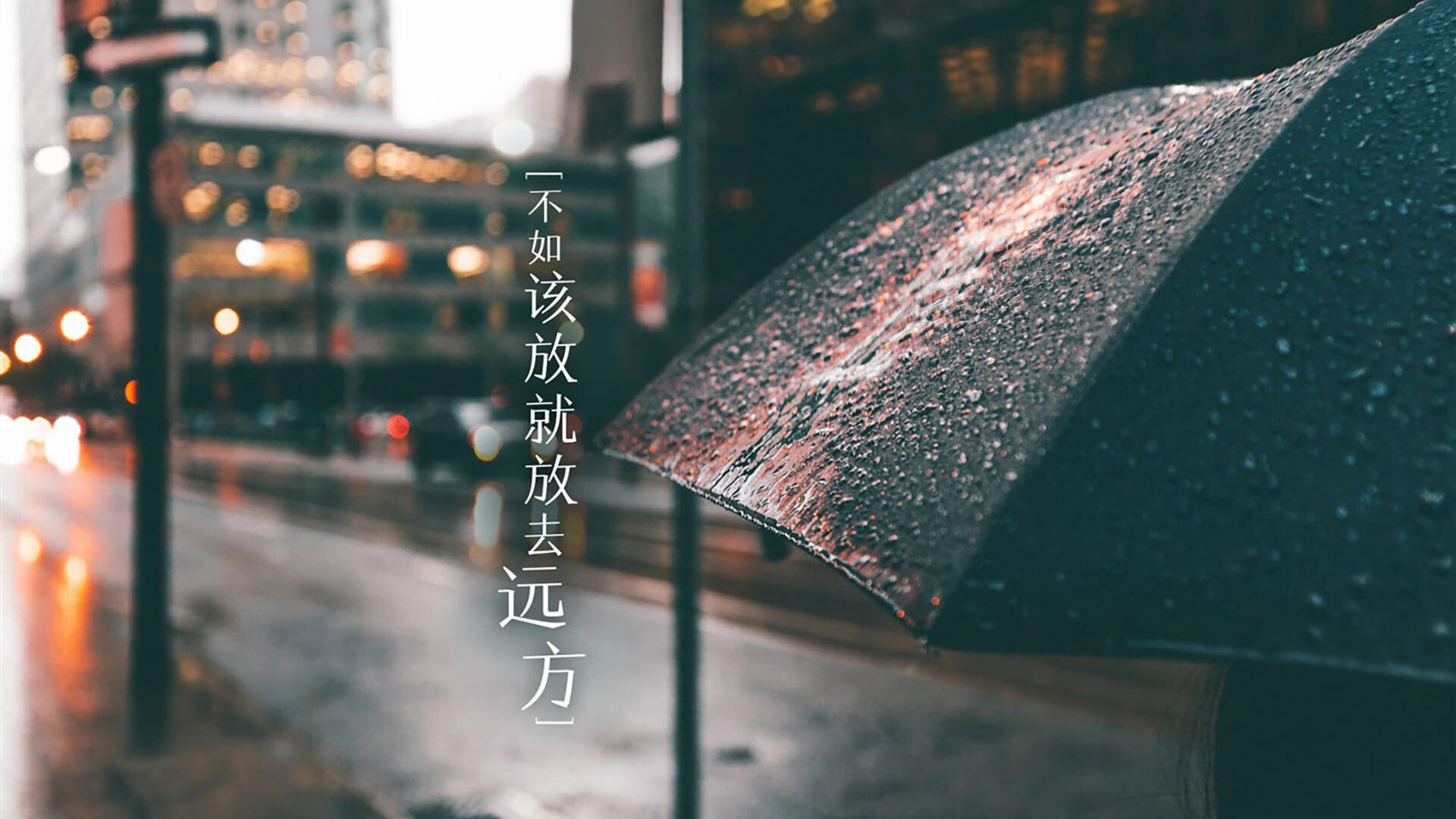 “新晋足球教练崭露头角，为中国足球注入新动力”，足球教练中国队