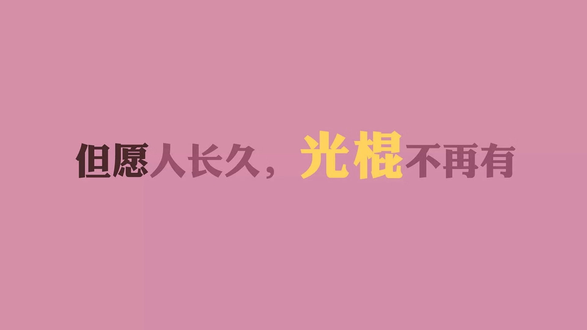 伊朗马术协会建立马匹基因数据库，促进马匹选育与训练。，伊朗马球