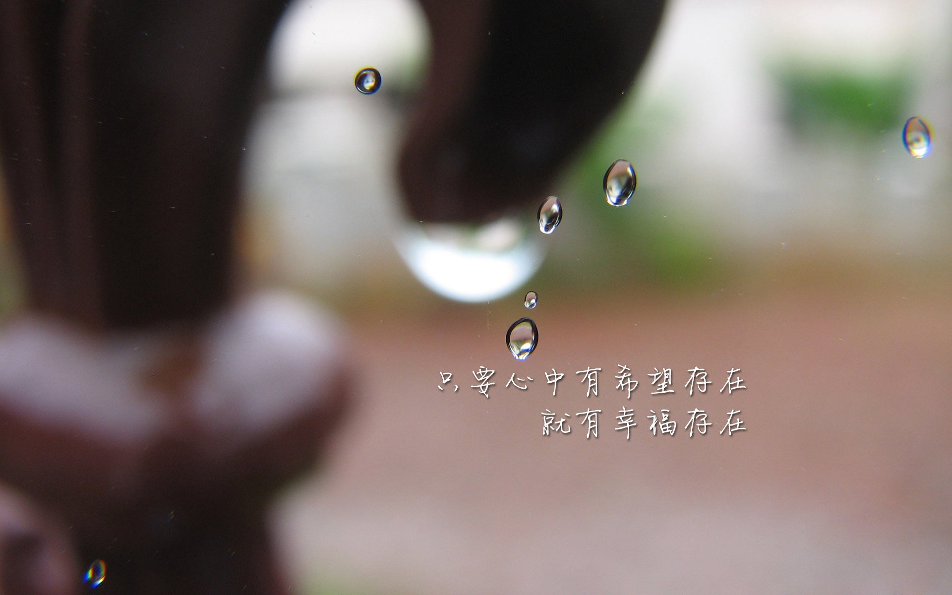 公牛队主教练战术调整 胜率有望提升，公牛队主教练战术调整 胜率有望提升吗