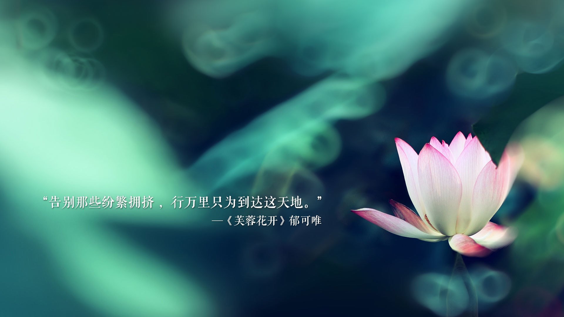 冠军赛事背后故事精彩纷呈，人物鲜活生动，冠军介绍