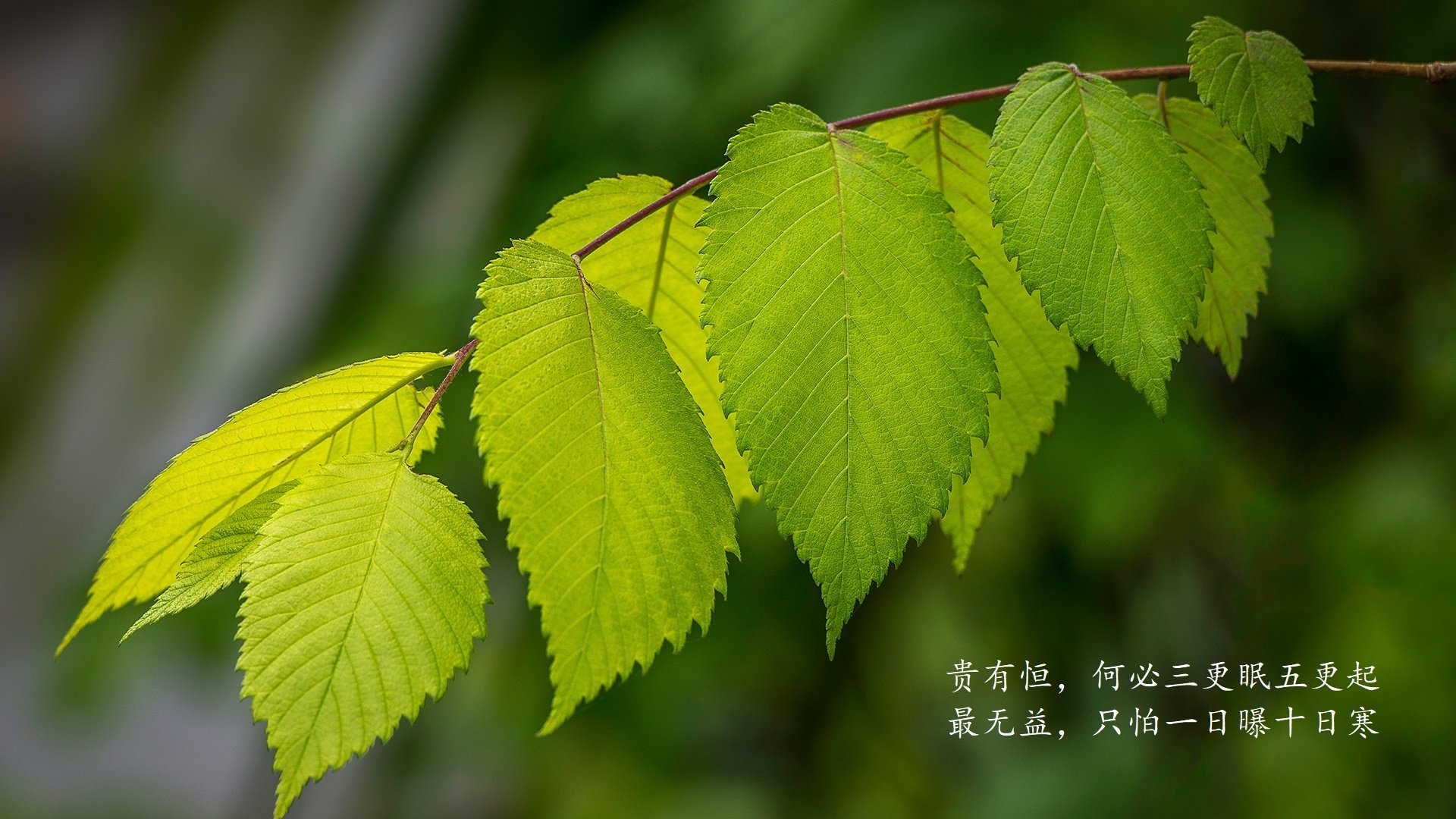 浙江稠州获得比赛胜利，队员状态神勇，浙江稠州队几次冠军