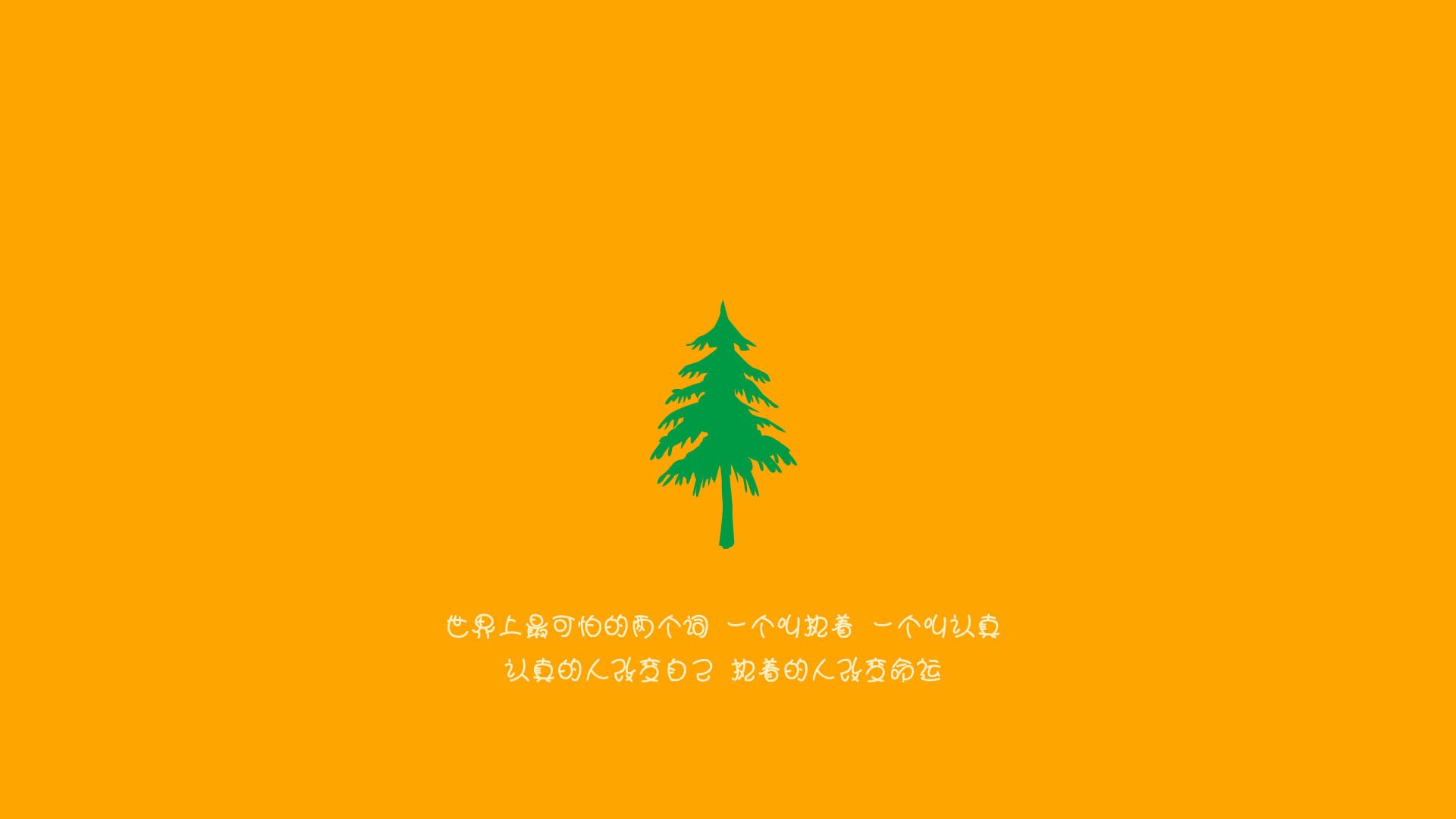 足球比赛球场配备新的灯光系统，提升观赛体验，足球场的灯叫什么名字