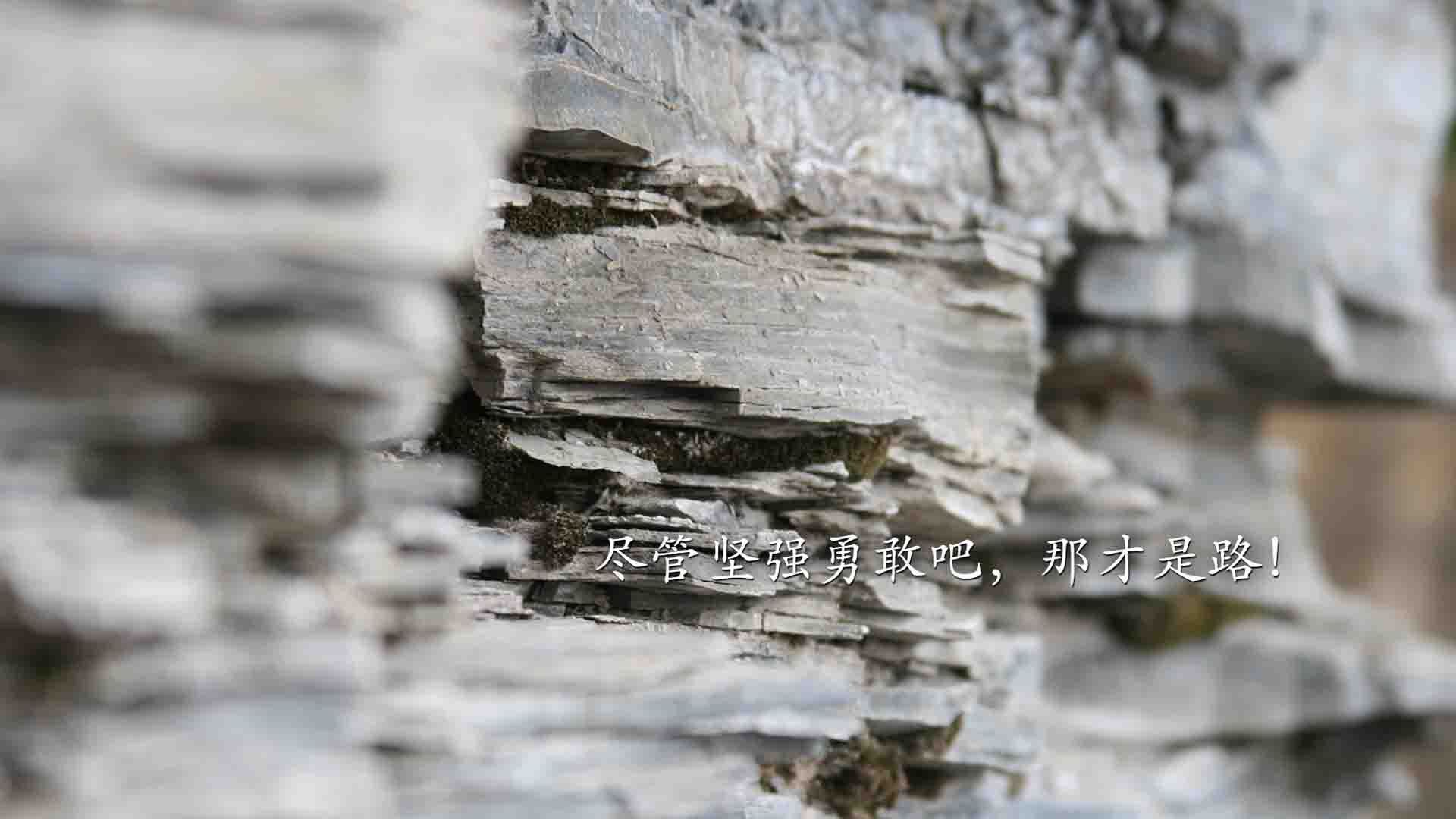 新闻中心完成研发平台搭建，新闻发布系统项目总结