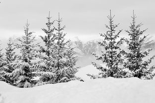 KAIYUN 中国大陆-冬季滑雪公开课受家长学生欢迎，冬季滑雪公开课受家长学生欢迎怎么办