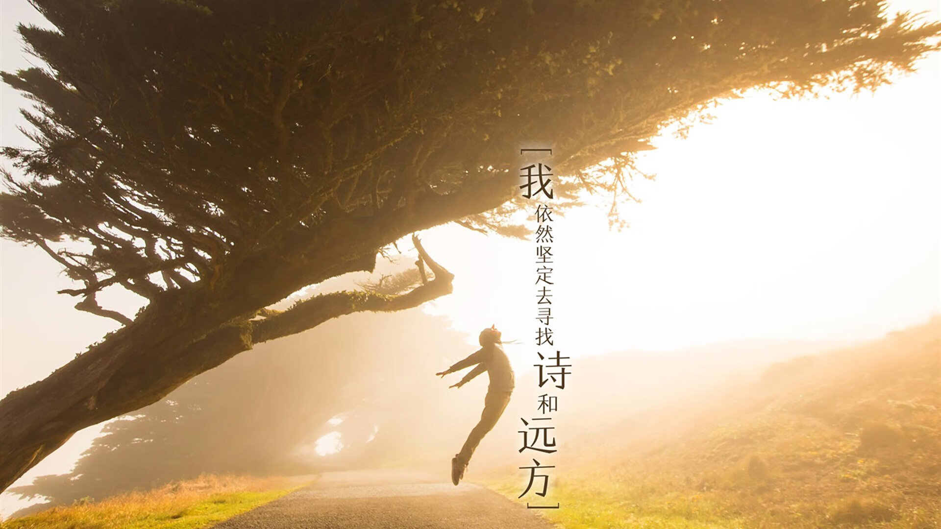 kaiyun中国官方网站-阿森纳高强度跑动压迫对手后场，阿森纳强吗