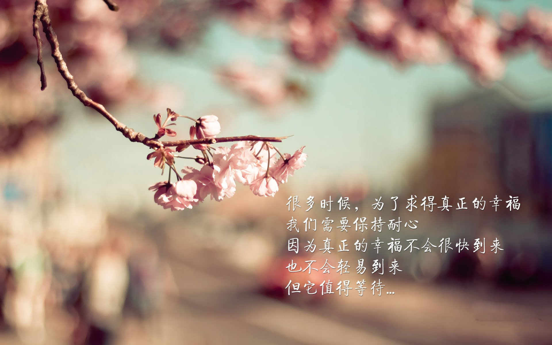 克洛普持续探索战术创新，带领利物浦追求更高荣誉