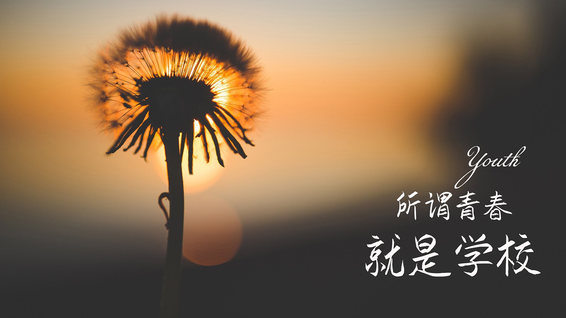 巴西队在南美预赛领先，晋级形势乐观