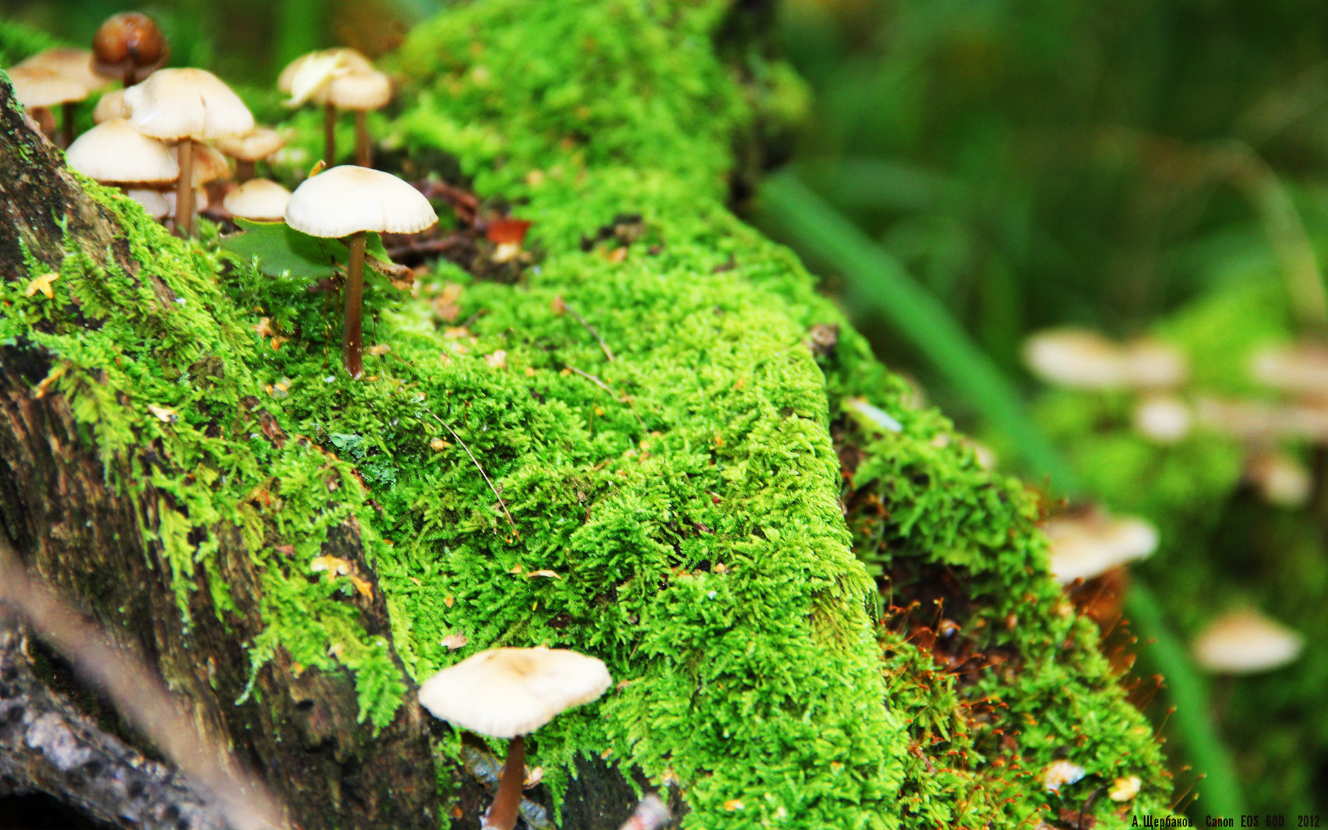 球队更衣室气氛曝光，球队更衣室文化