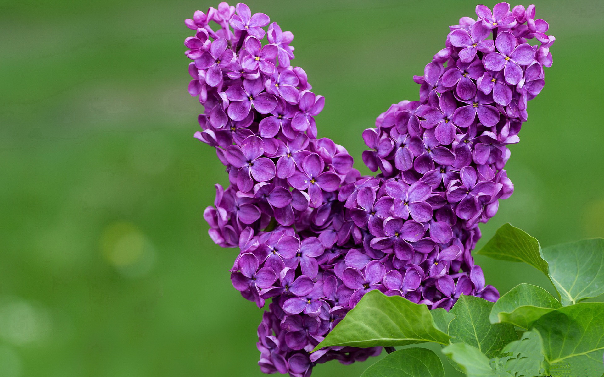 职业球员社交影响力增强个人品牌价值持续上升,球员社交软件是什么