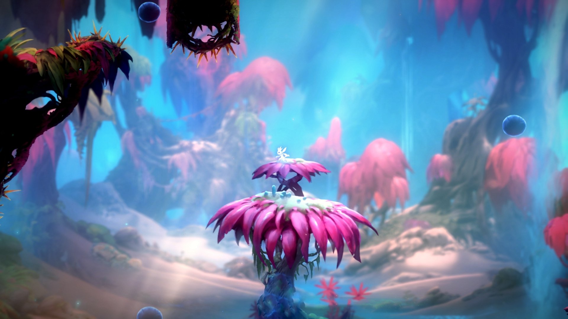 马克·阿特金森:南非队的进攻利器,突破敌方防线如入无人之境