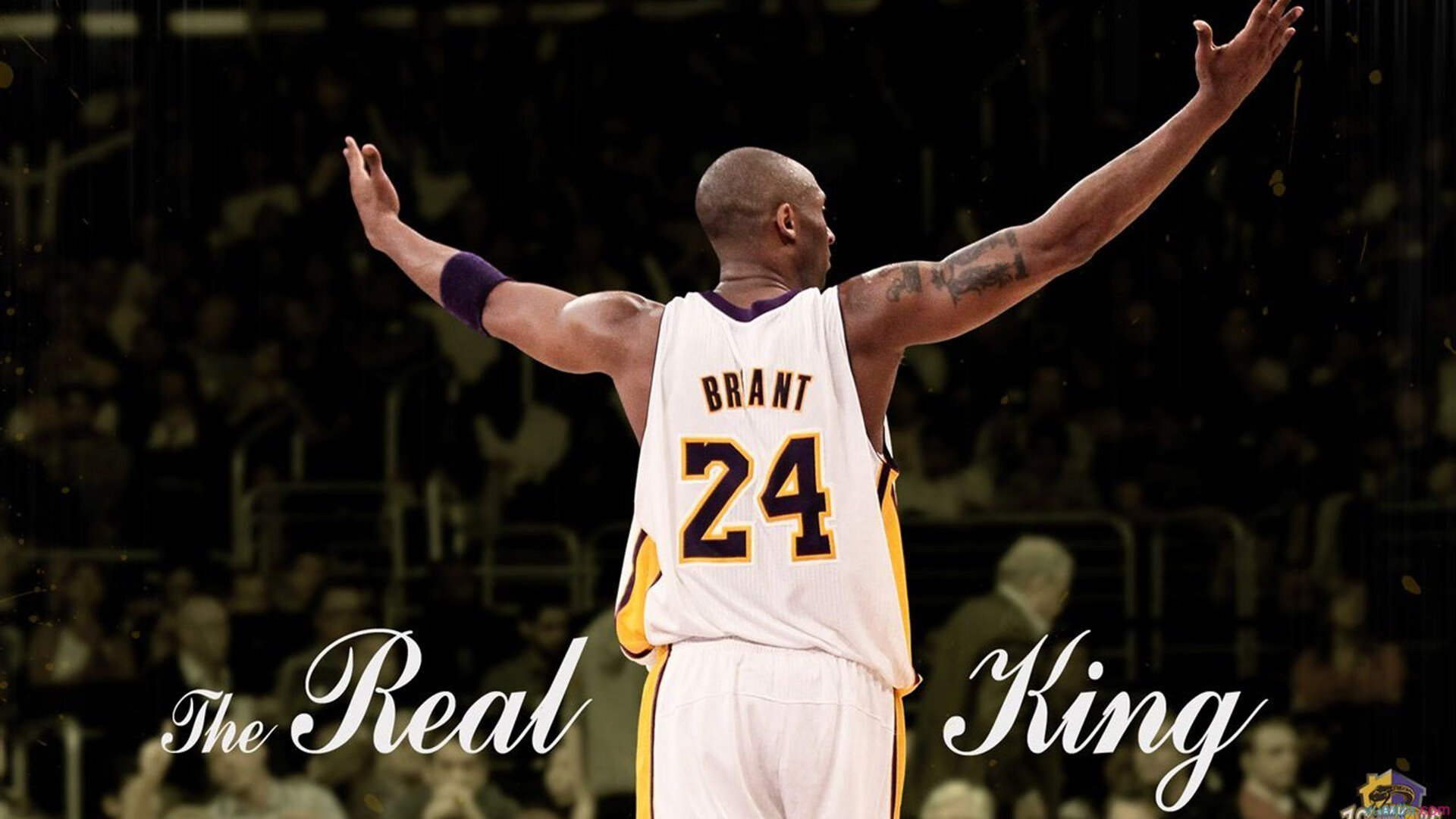 开云 官网 入口-“全场激情：最燃比赛瞬间排行榜”，激情燃烧的歌曲有哪些